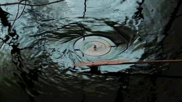 A Submerged Turntable, By Evan Holm