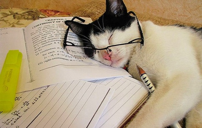 The Don't Panic Guide to Exams
