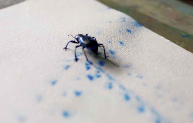 Creating Art With Bugs