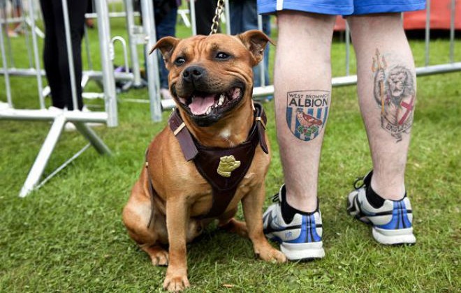 Martin Parr - Black Country Stories