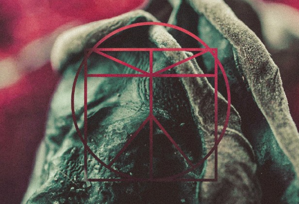 Festival Spotlight: BLOC Weekender 2016