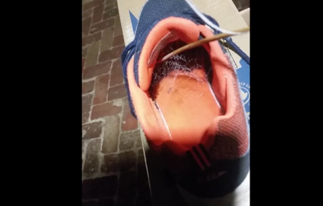 Never Forget: Spiders Can Live In SHOES