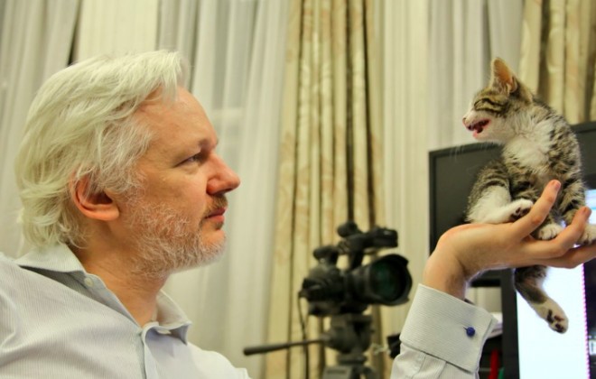 Wikileaks's Julian Assange Has Got Himself A Cat