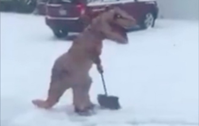 Friendly T-Rex Shovels Snow