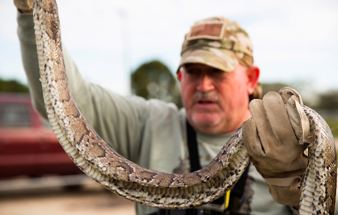 Dylan Johnston Photographs Snake Hunters In Florida
