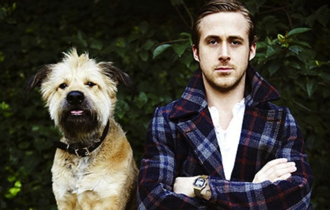 Ryan Gosling Sticks Up For Pigs