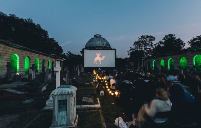 Summer Evenings At The Nomad Cinema