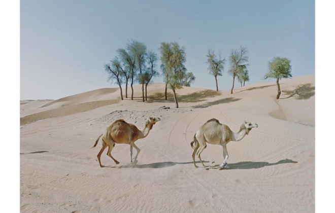 The 'Agoraphobic Traveller' is Too Anxious to Travel So Explores the World Through Google Street View