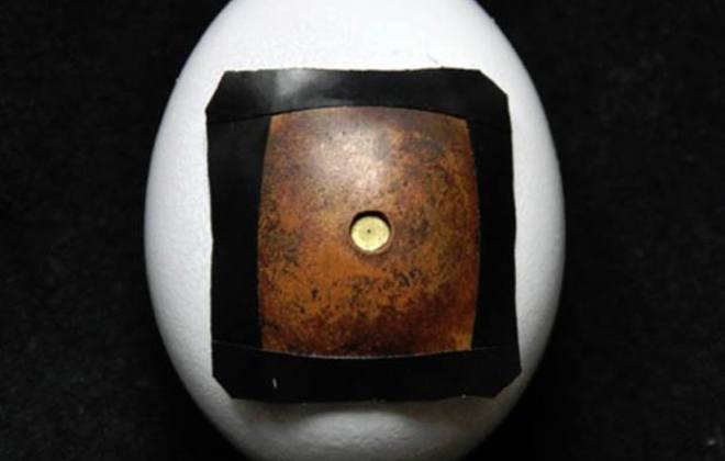 Top 5 Weirdest Pinhole Cameras