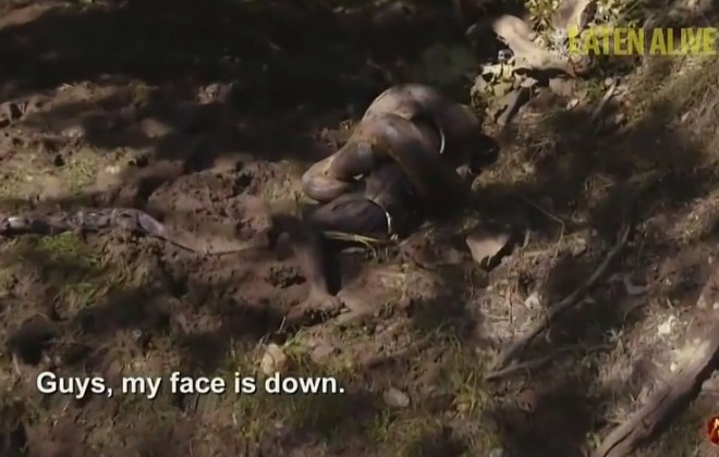 Watch that Dickhead NOT get Eaten by a Snake