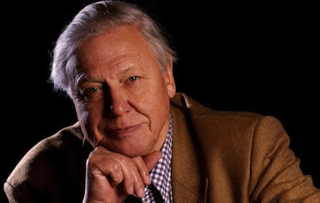 Who'll be the next David Attenborough?