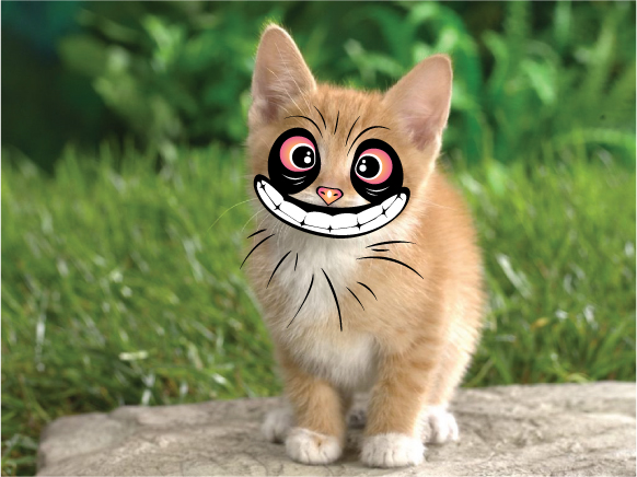 Meow Meow Illegal